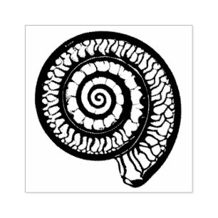 Ammonite Fossil - Spiral Seashell Rubber Stamp