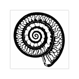 Ammonite Fossil - Spiral Seashell Self-inking Stamp