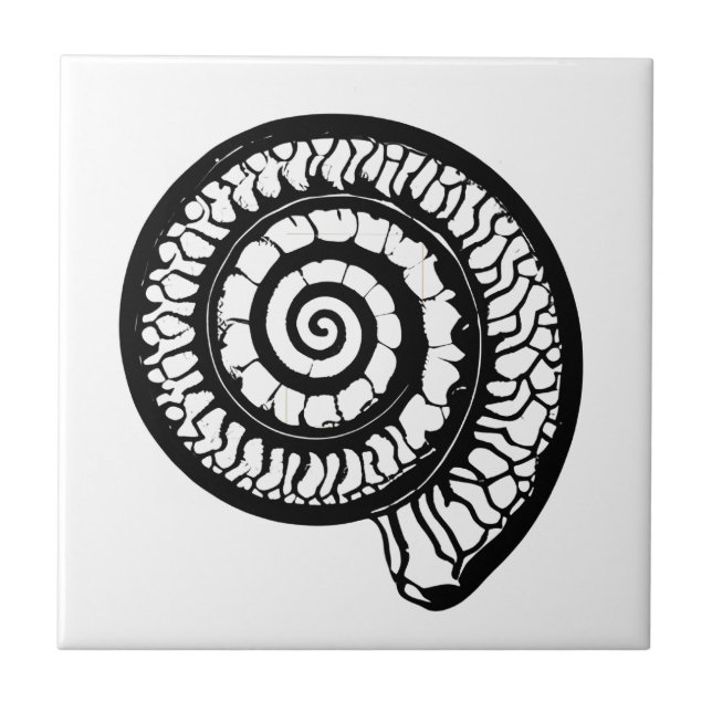 Ammonite Fossil - Spiral Seashell Tile (Front)