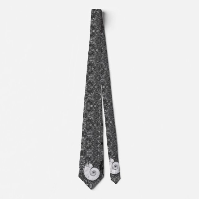 Ammonite Fossil Stone Tie (Front)