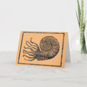 Ammonite Fossil Talking Canyons, New Mexico Card