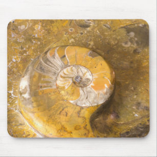Ammonite Fossils in Rock Photography Rockhound Mouse Mat