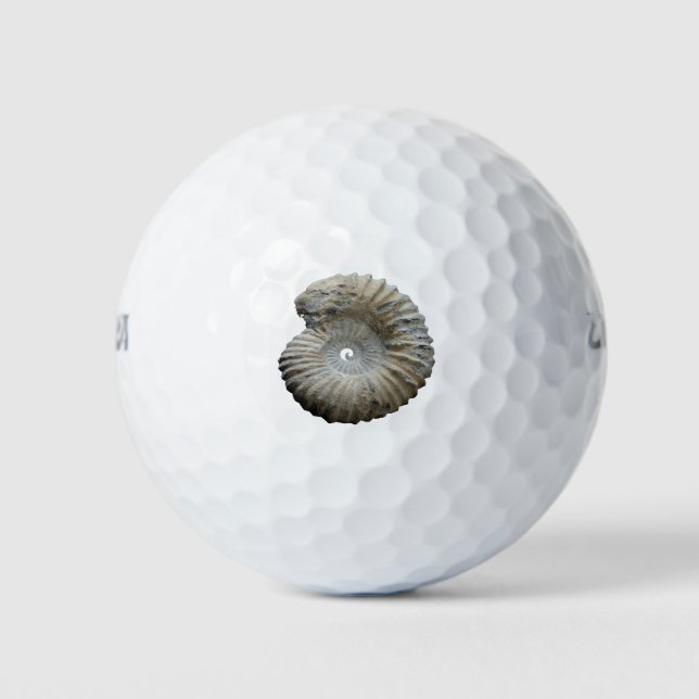 ammonite golf balls (Front)