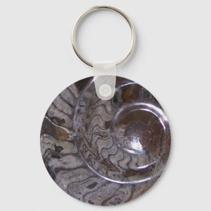 ammonite key ring