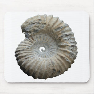 ammonite mouse mat