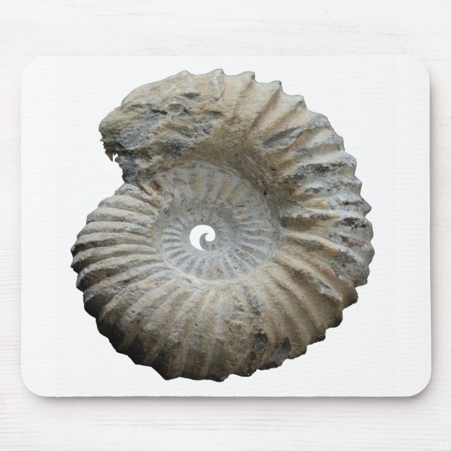 ammonite mouse mat (Front)