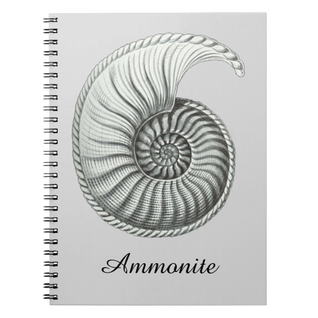 Ammonite Notebook (Front)