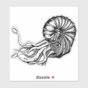 Ammonite sticker