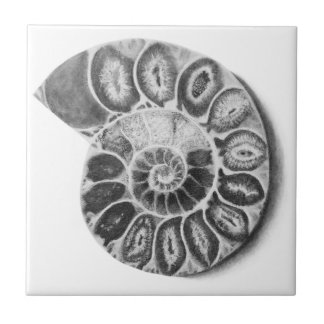 Ammonite Tile