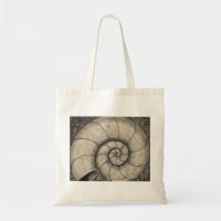 Ammonite