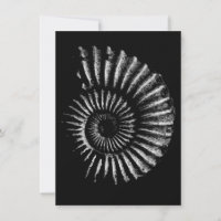 Ammonite white on black