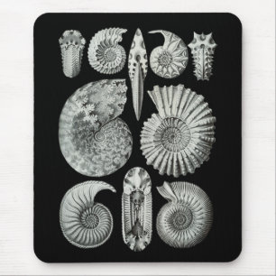 Ammonites Mouse Mat