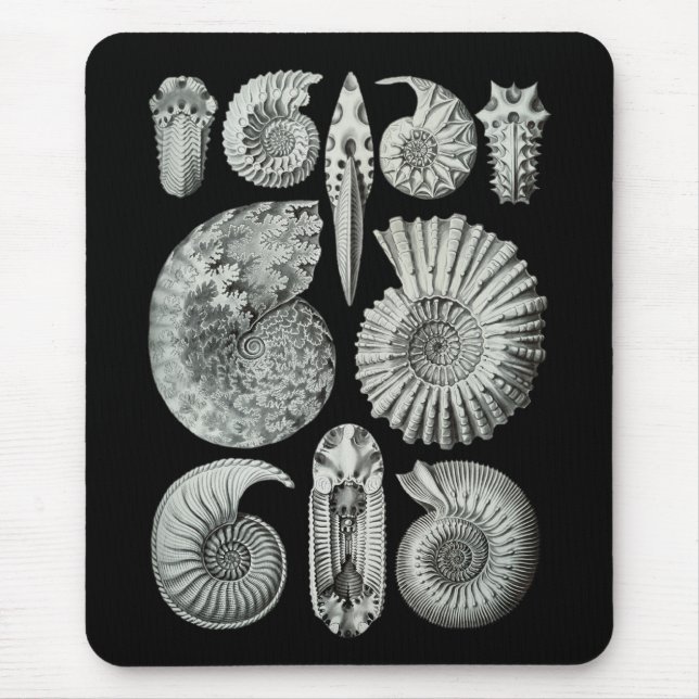 Ammonites Mouse Mat (Front)