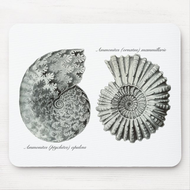 Ammonites Mouse Mat (Front)