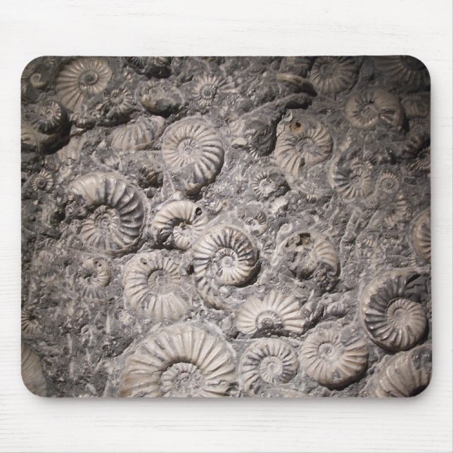 Ammonites Mouse Mat (Front)