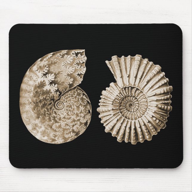 Ammonites Mouse Mat (Front)