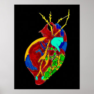 Amoeba Minx: All the Frills Poster