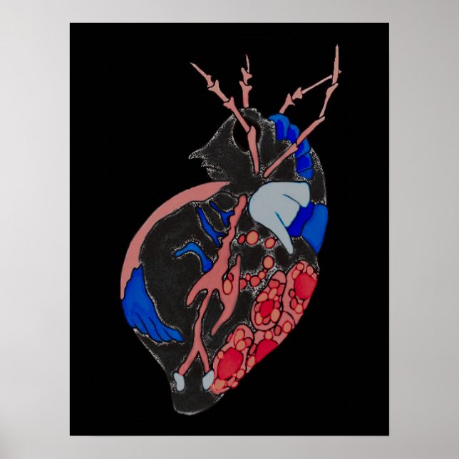 Amoeba Minx: Veins & Vessels Poster (Front)