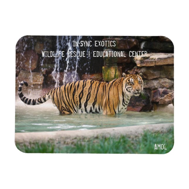 Amol - magnet (Horizontal)