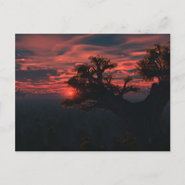 Among The Ancients Postcard (Front)