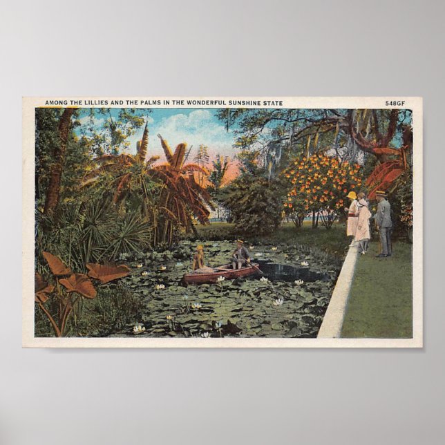 Among the Lillies and Palms of Florida Poster (Front)