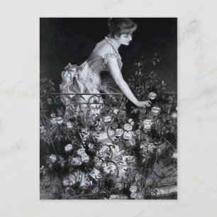 "Among the Roses" Vintage Illustration Postcard