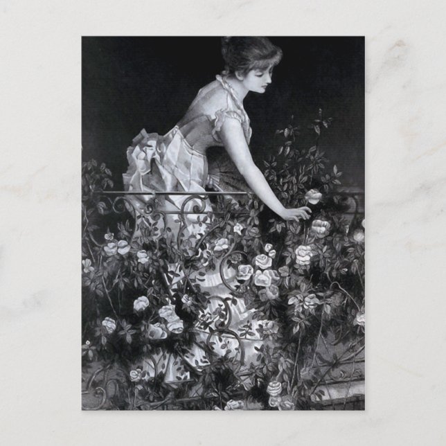 "Among the Roses" Vintage Illustration Postcard (Front)