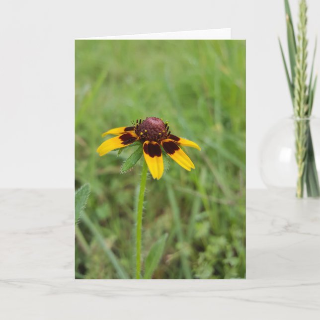 Among the Wildflowers Notecards (Blank Inside) (Front)