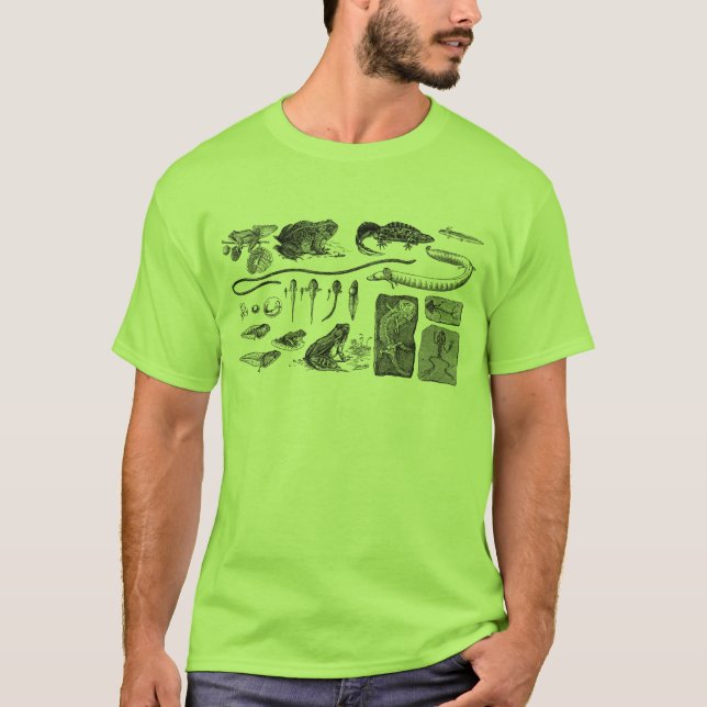 Amphibian Evolution T-Shirt (Front)