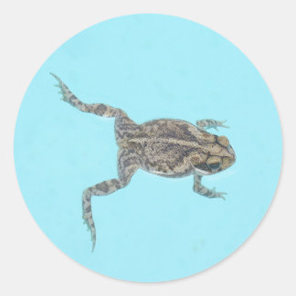 Amphibian Stickers 02