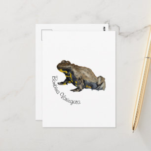 Amphibians, Reptiles & Insects Watercolor Postcard