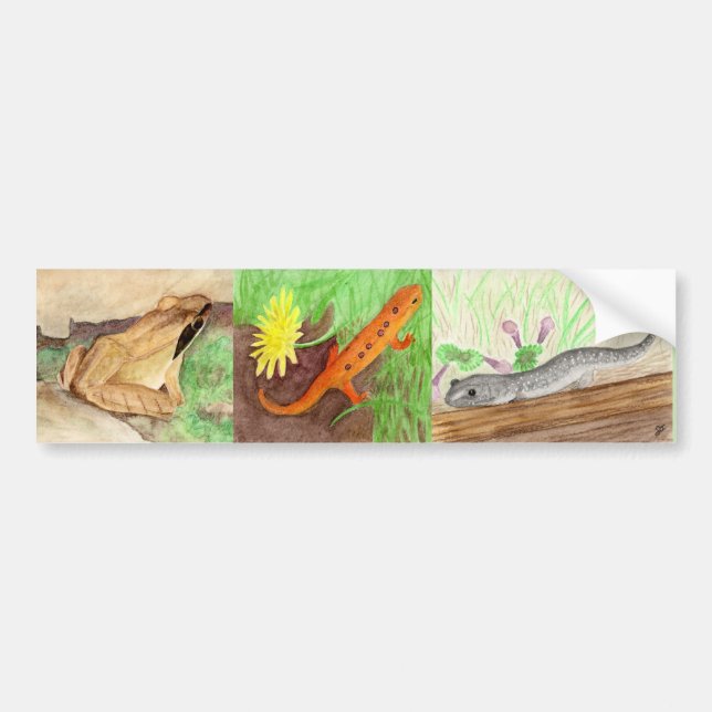 Amphibians Watercolor Bumper Sticker (Front)