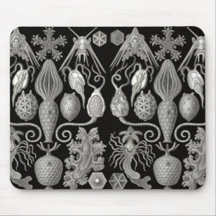 "Amphoridea; or, Star-Animals" Mouse Mat