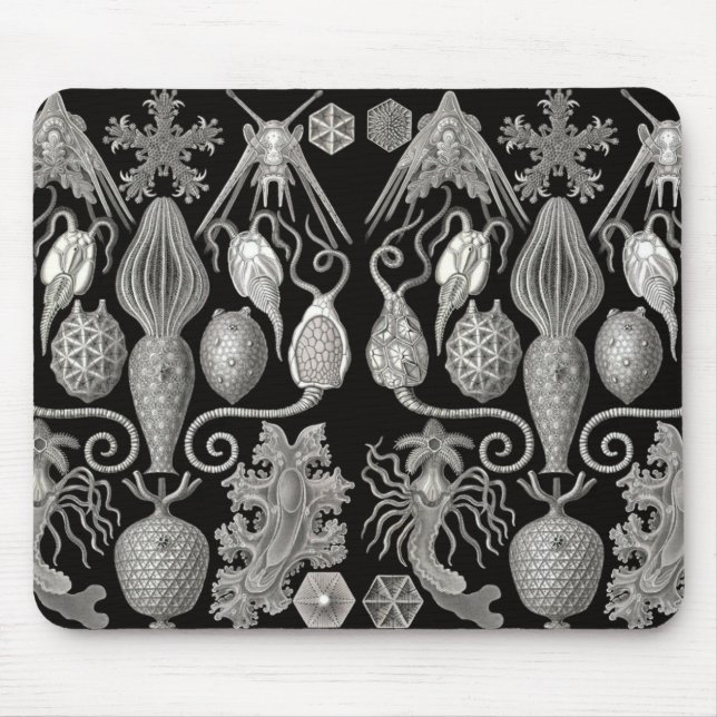 "Amphoridea; or, Star-Animals" Mouse Mat (Front)