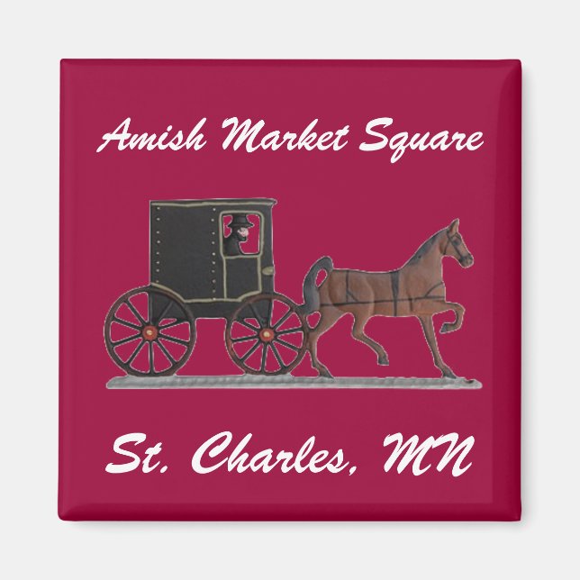 AMS MAGNET (Front)