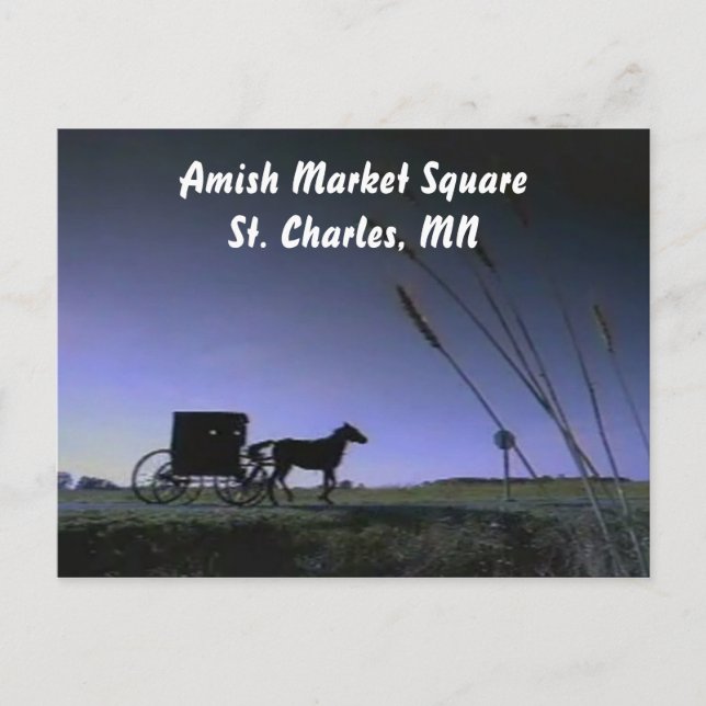 AMS POSTCARD (Front)