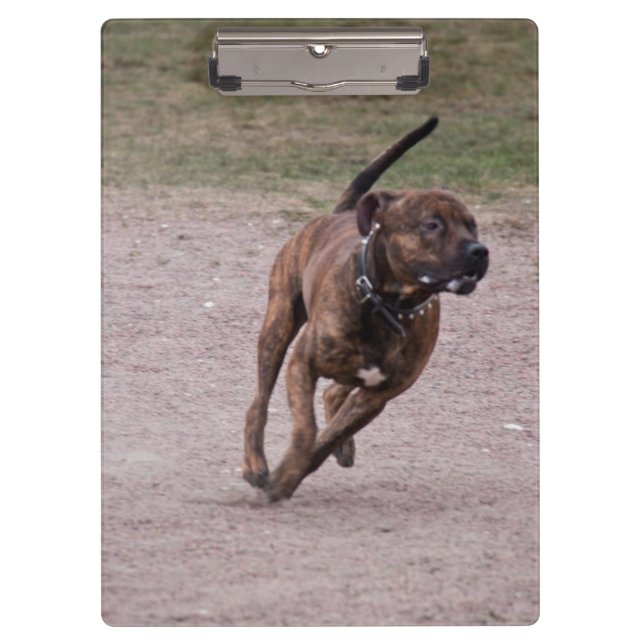 Amstaff running clipboard (Front)
