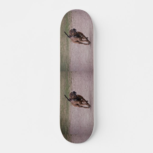 Amstaff running skateboard (Front)