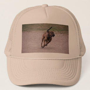 Amstaff running trucker hat