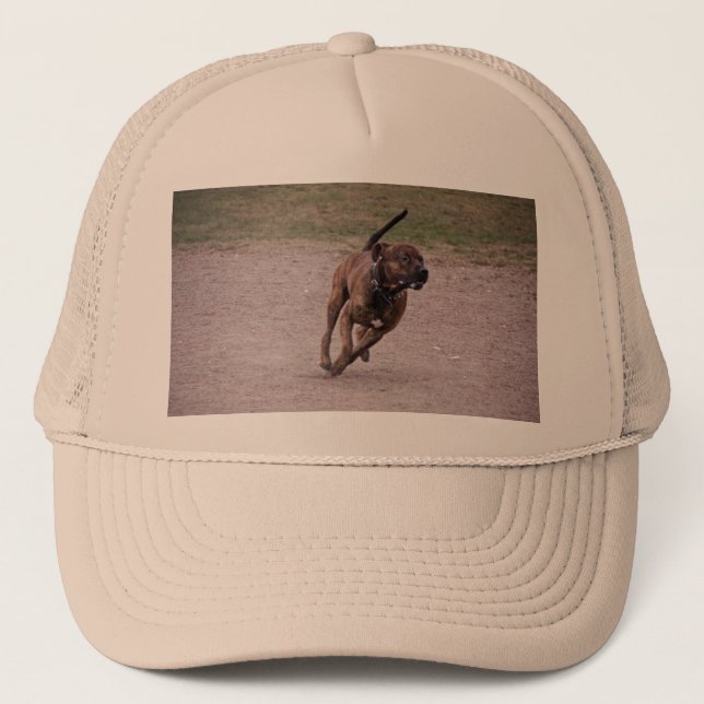 Amstaff running trucker hat (Front)
