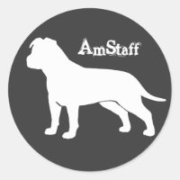 AmStaff with Floppy Ears