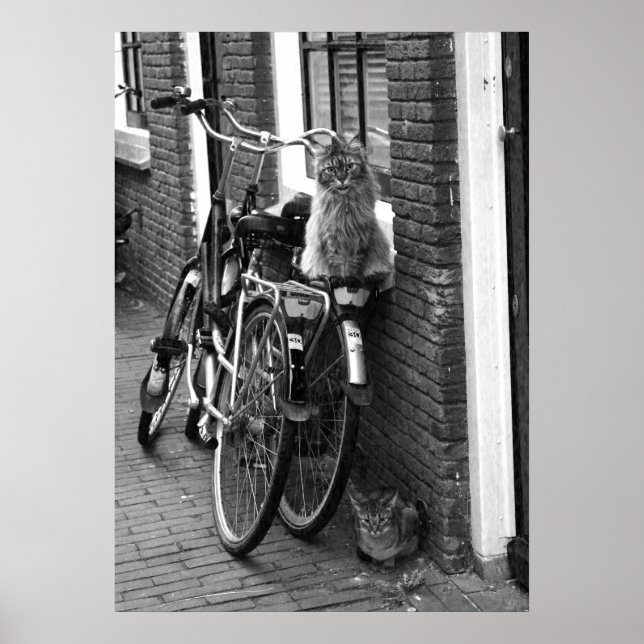 Amsterdam Cats on Bicycles Black & White Photo Poster (Front)