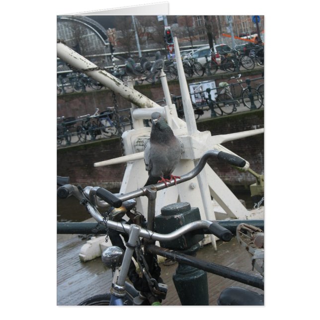 Amsterdam Pigeon(s) and Bike(s) Card (Front)