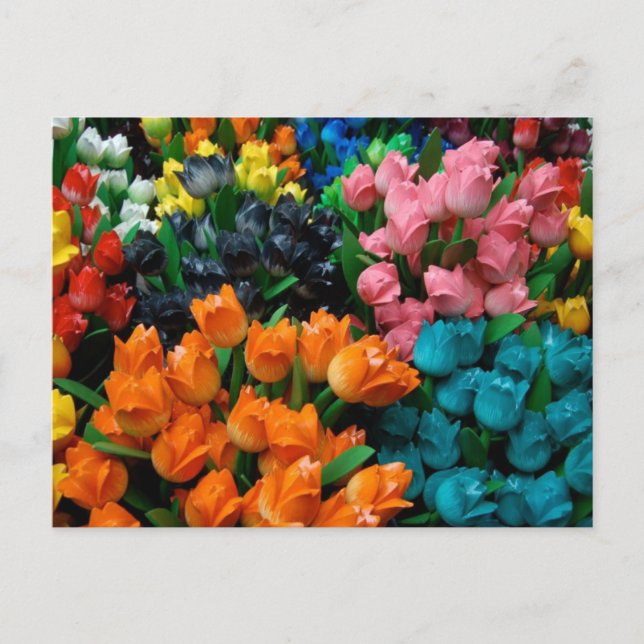 Amsterdam Tulips Postcard (Front)