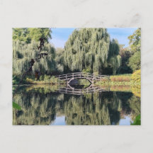 Amsterdam Willow Pond