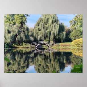 Amsterdam Willow Pond Poster