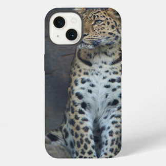 Amur Leopard iPhone 6 Case