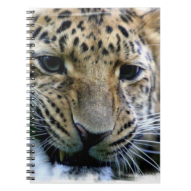 Amur Leopard Notebook (Front)