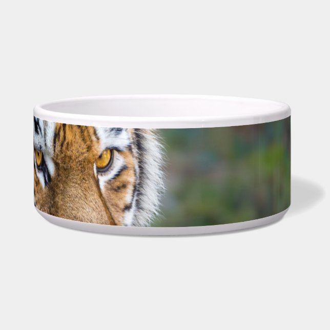 Amur tiger (Right)