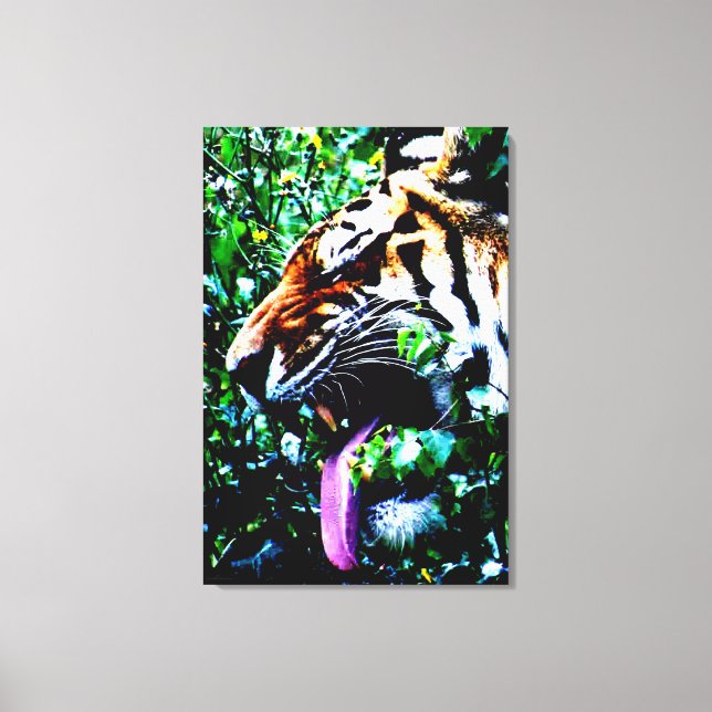 Amur Tiger 24x36 (60x90cm) waca Canvas Print (Front)